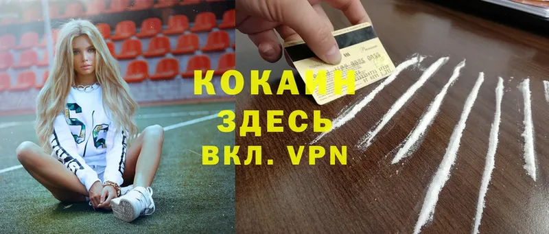 продажа наркотиков  Амурск  Cocaine FishScale 